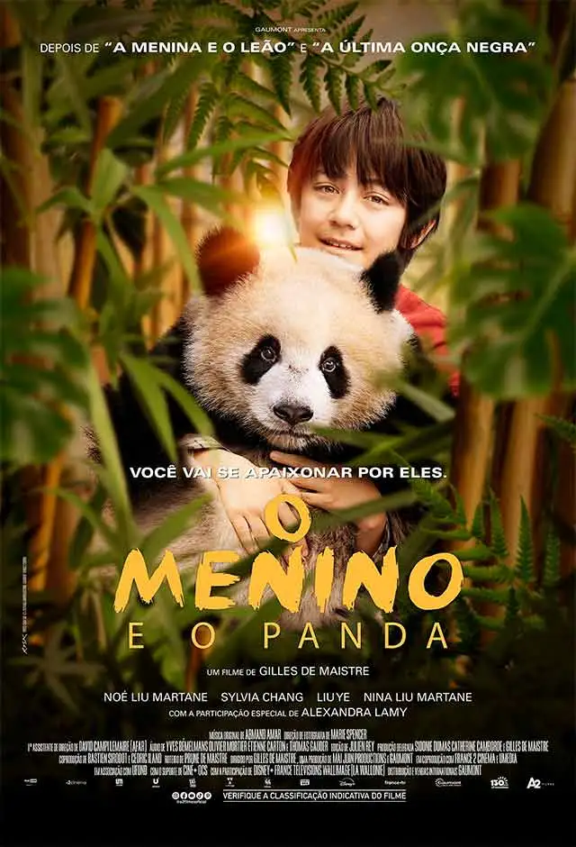 O Menino E O Panda